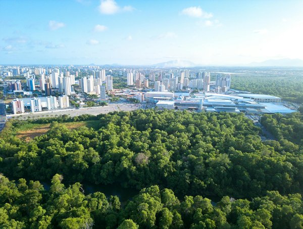 Le miroir photobooth : une touche magique pour vos fêtes